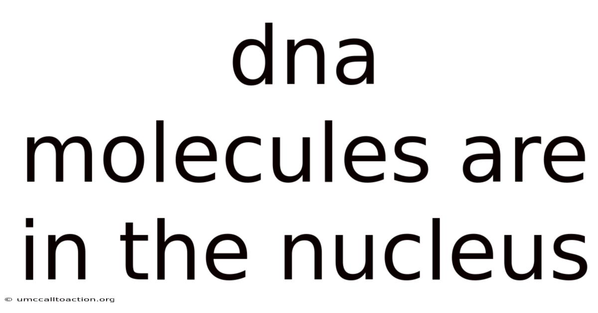 Dna Molecules Are In The Nucleus