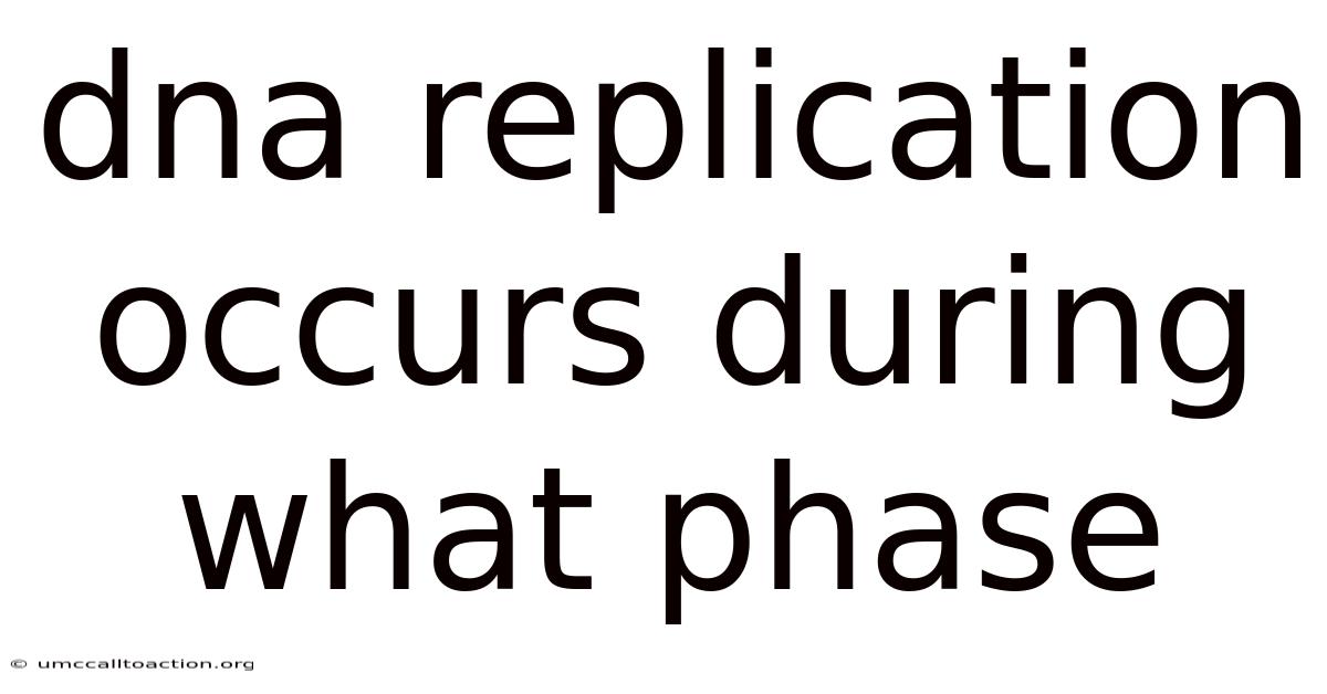 Dna Replication Occurs During What Phase