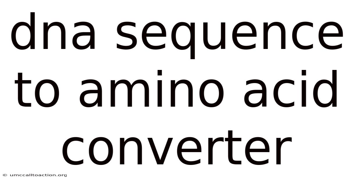 Dna Sequence To Amino Acid Converter