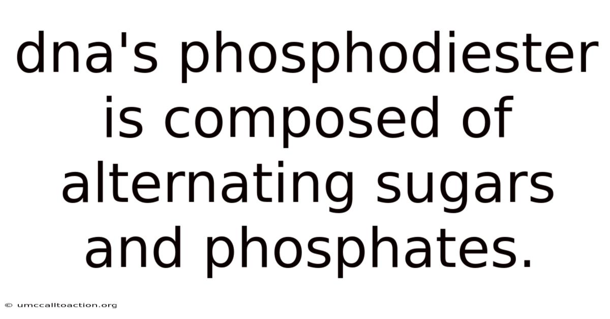 Dna's Phosphodiester Is Composed Of Alternating Sugars And Phosphates.