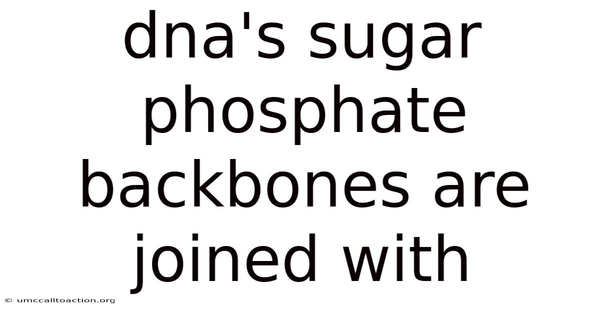 Dna's Sugar Phosphate Backbones Are Joined With