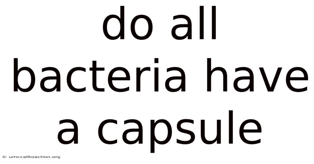 Do All Bacteria Have A Capsule