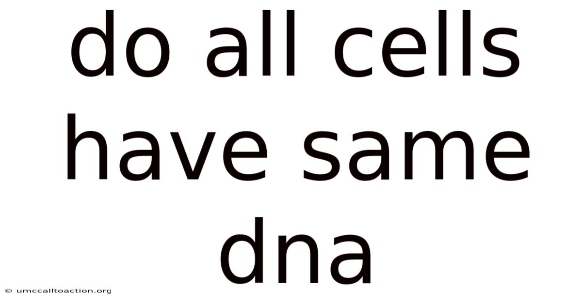 Do All Cells Have Same Dna