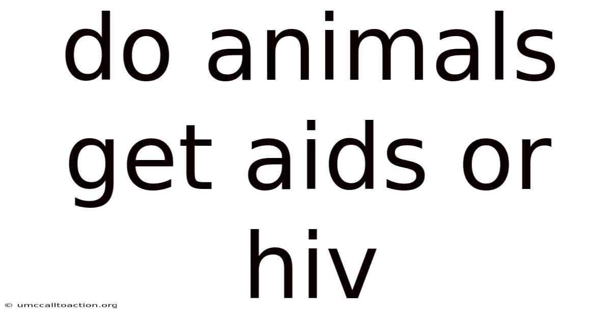 Do Animals Get Aids Or Hiv