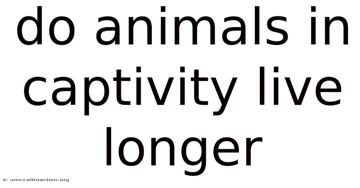 Do Animals In Captivity Live Longer