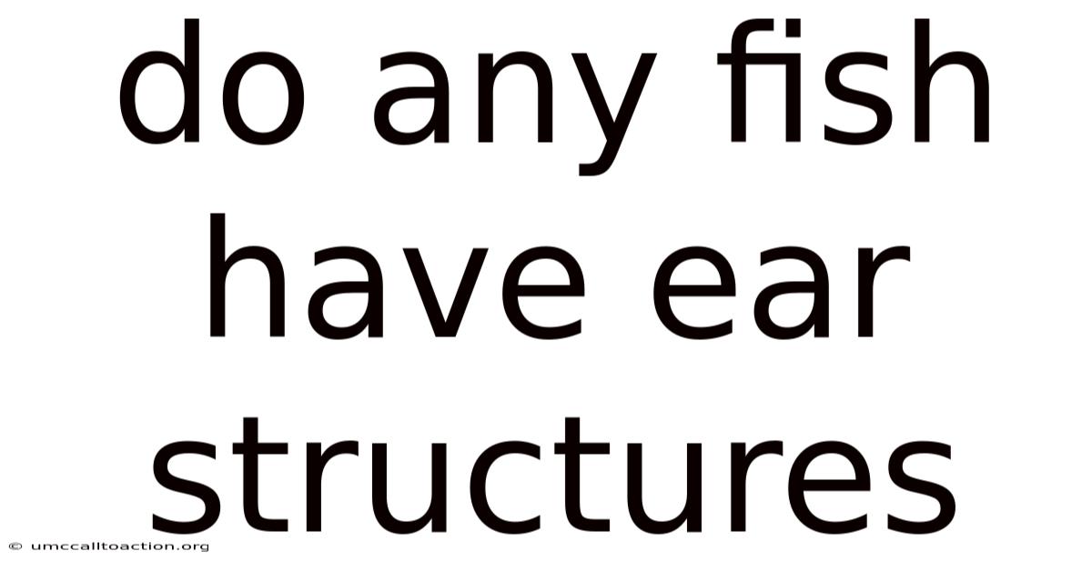 Do Any Fish Have Ear Structures