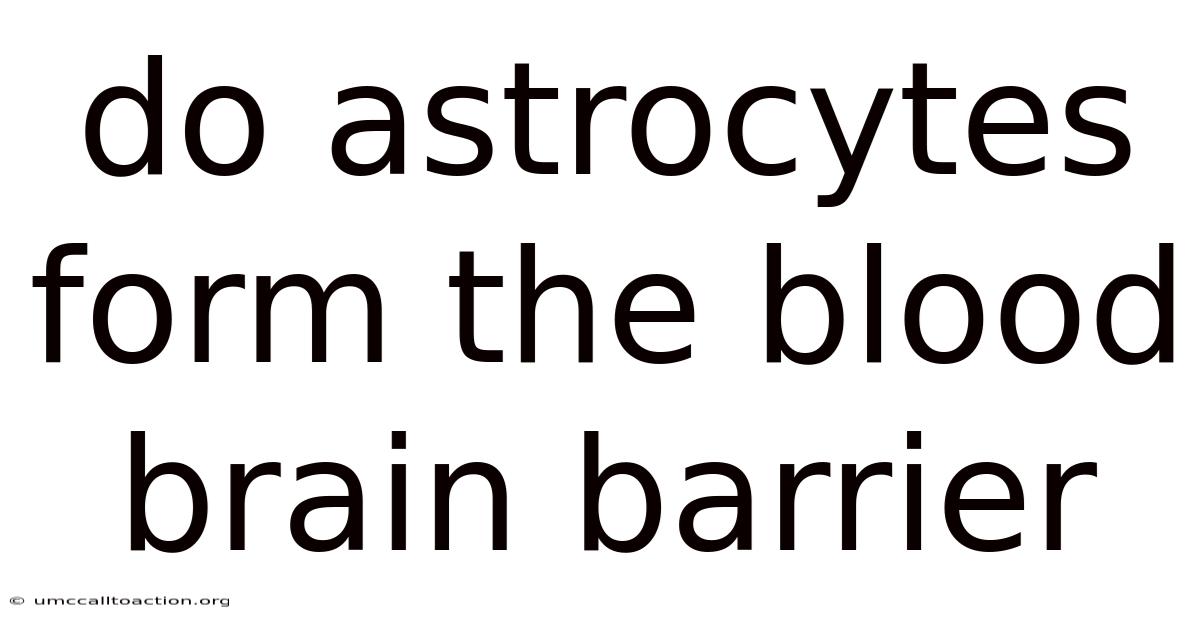 Do Astrocytes Form The Blood Brain Barrier