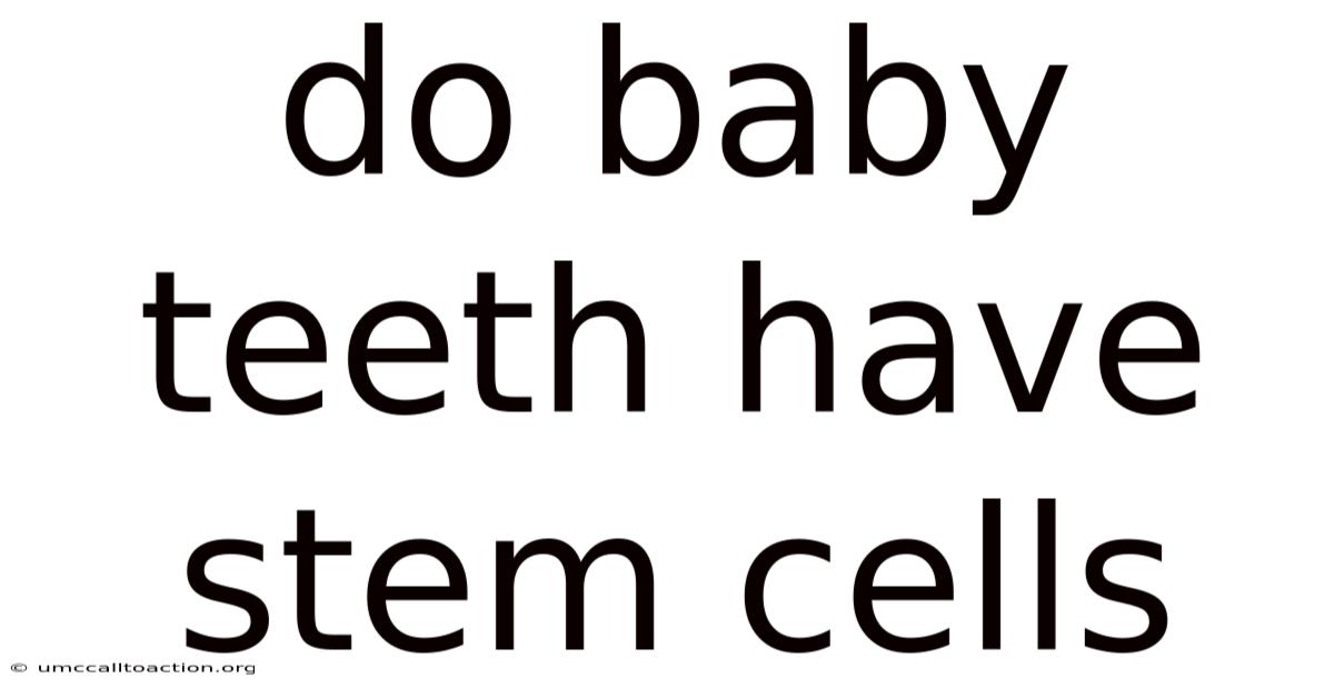 Do Baby Teeth Have Stem Cells