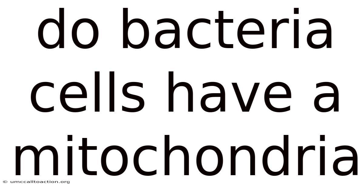 Do Bacteria Cells Have A Mitochondria