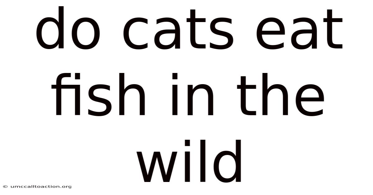 Do Cats Eat Fish In The Wild
