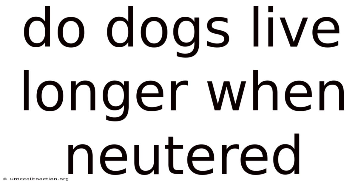 Do Dogs Live Longer When Neutered