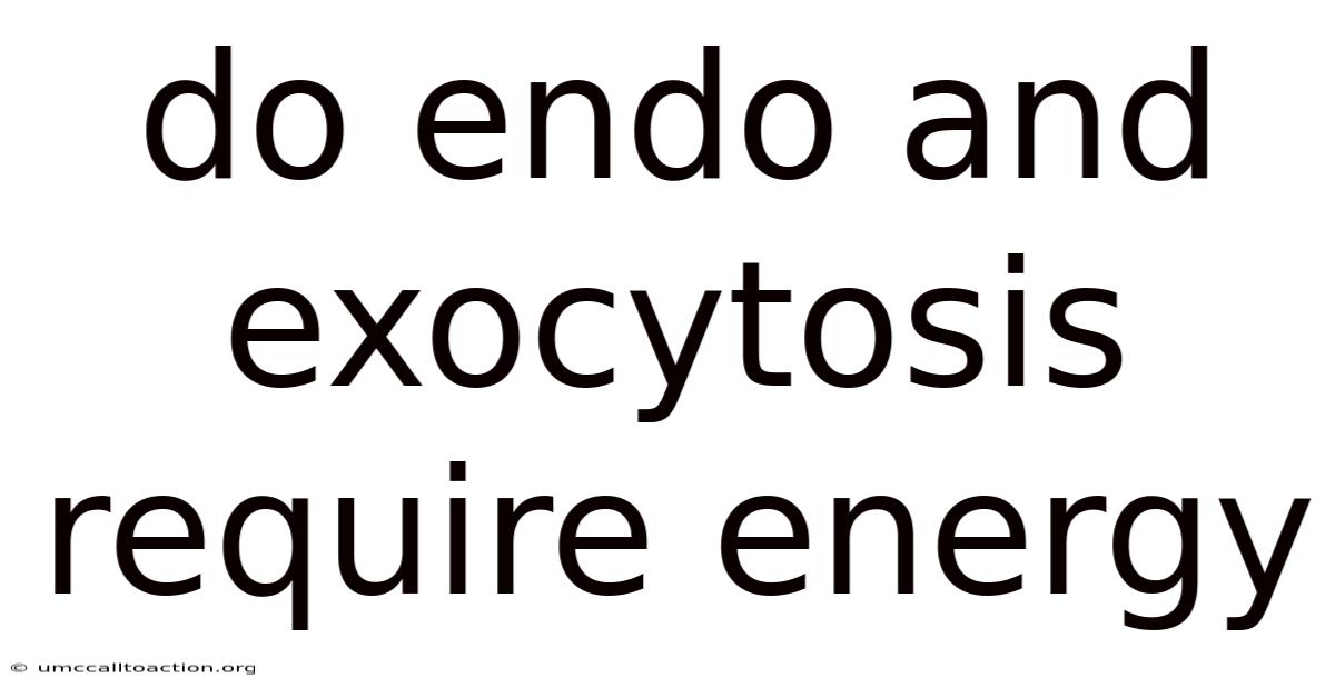 Do Endo And Exocytosis Require Energy
