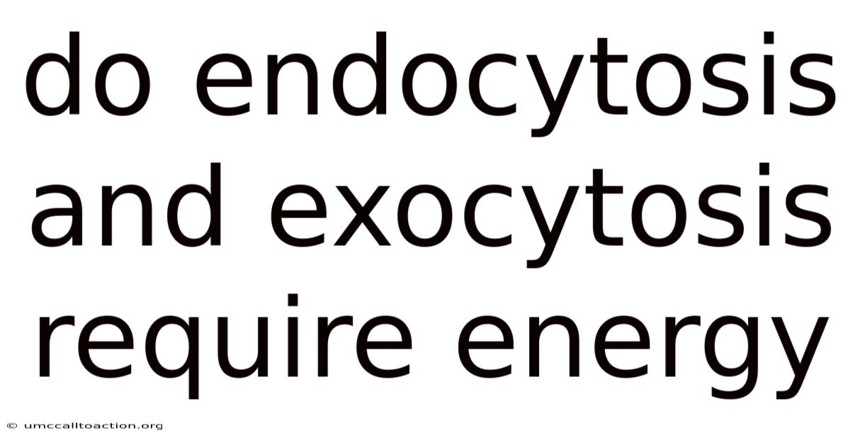 Do Endocytosis And Exocytosis Require Energy