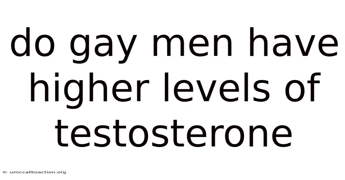 Do Gay Men Have Higher Levels Of Testosterone