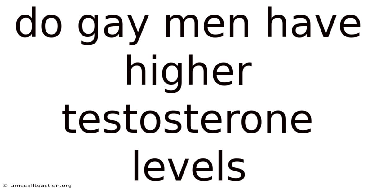 Do Gay Men Have Higher Testosterone Levels