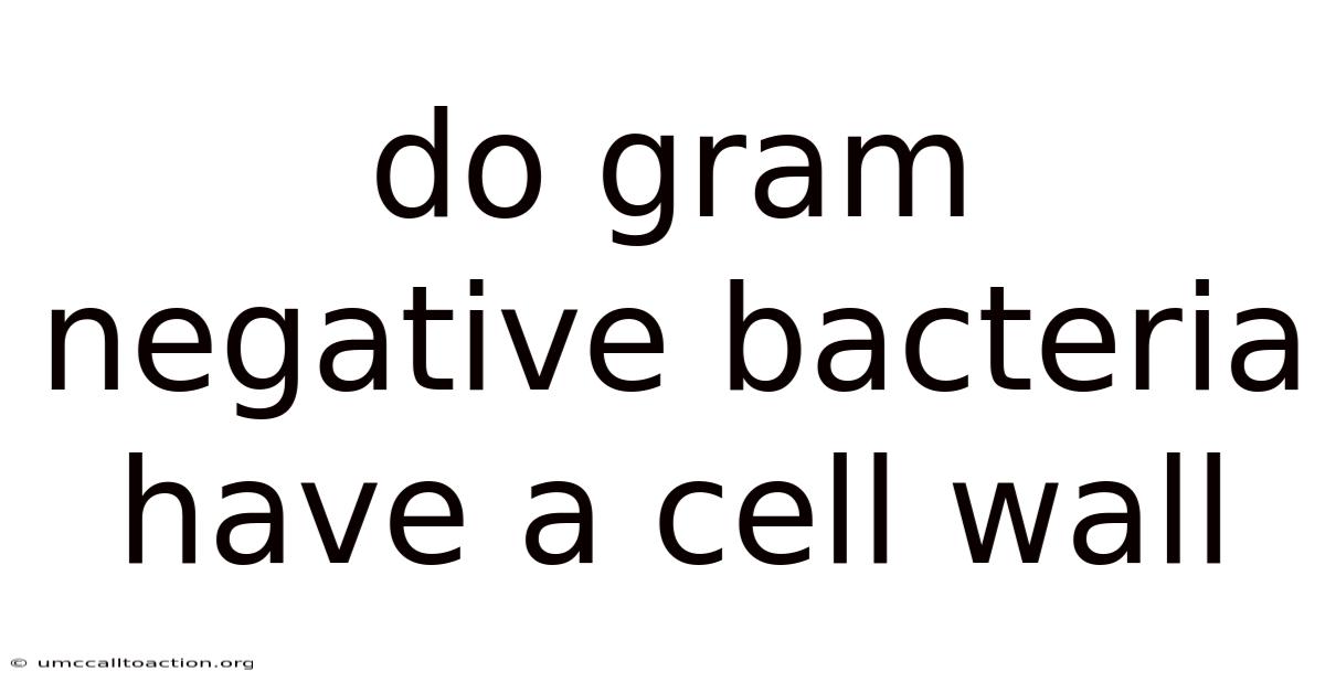 Do Gram Negative Bacteria Have A Cell Wall