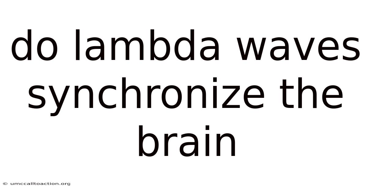 Do Lambda Waves Synchronize The Brain