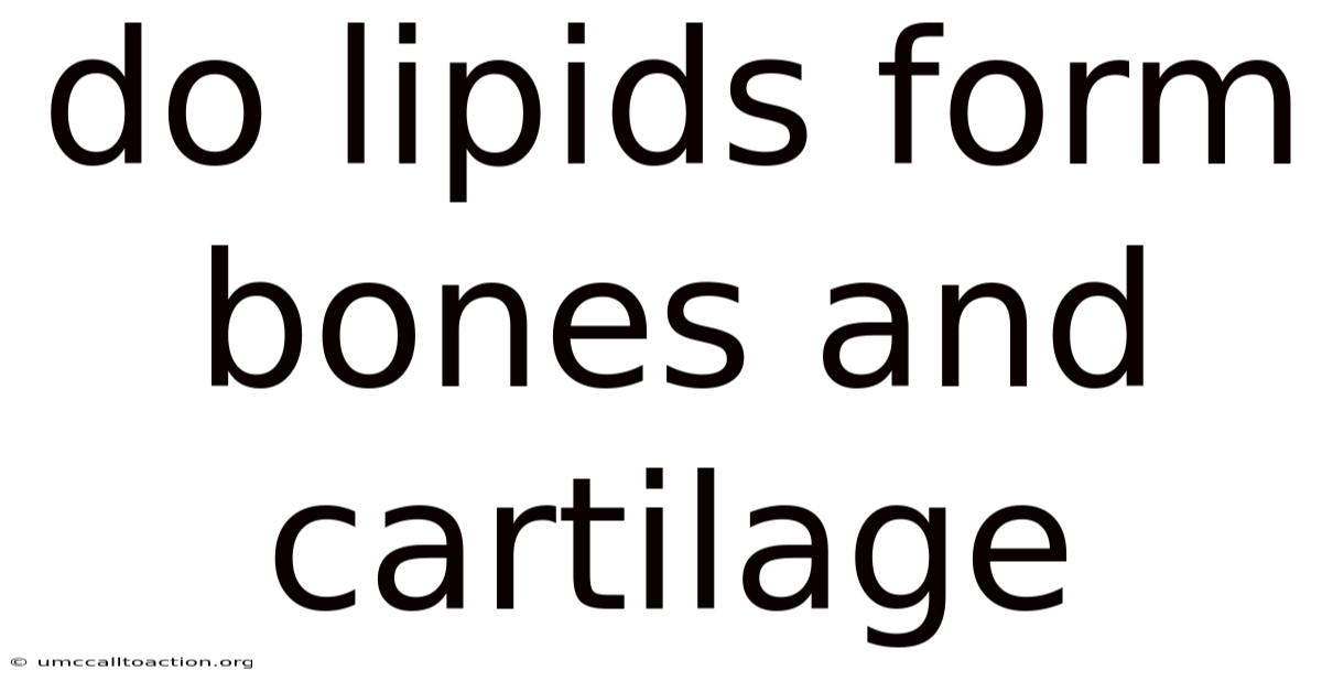 Do Lipids Form Bones And Cartilage