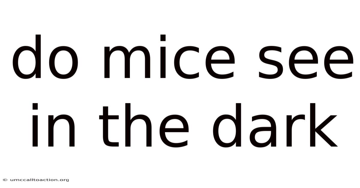 Do Mice See In The Dark