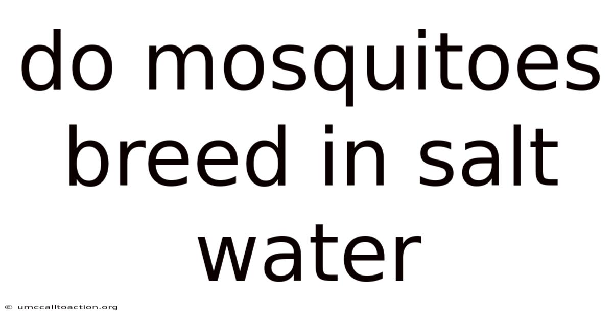 Do Mosquitoes Breed In Salt Water