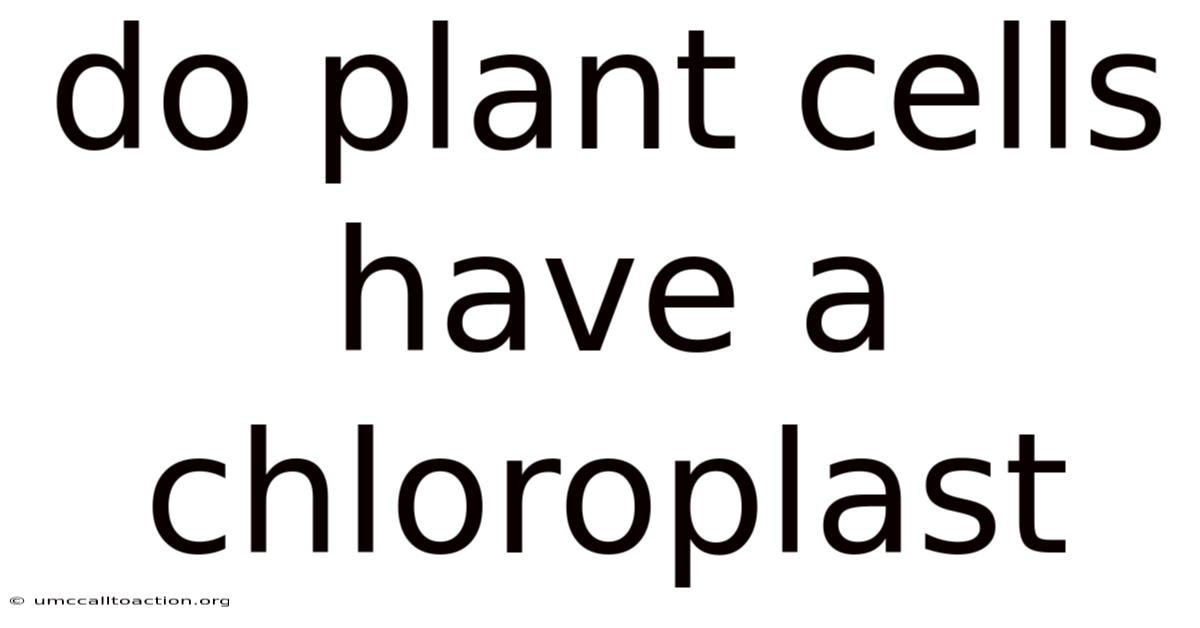 Do Plant Cells Have A Chloroplast