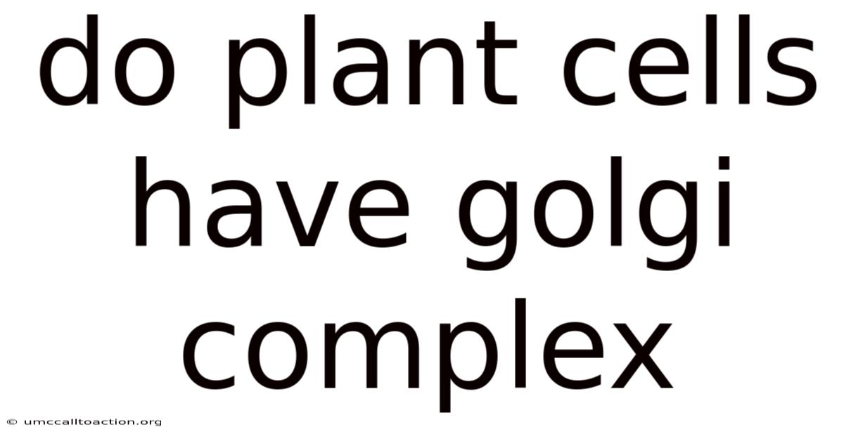 Do Plant Cells Have Golgi Complex
