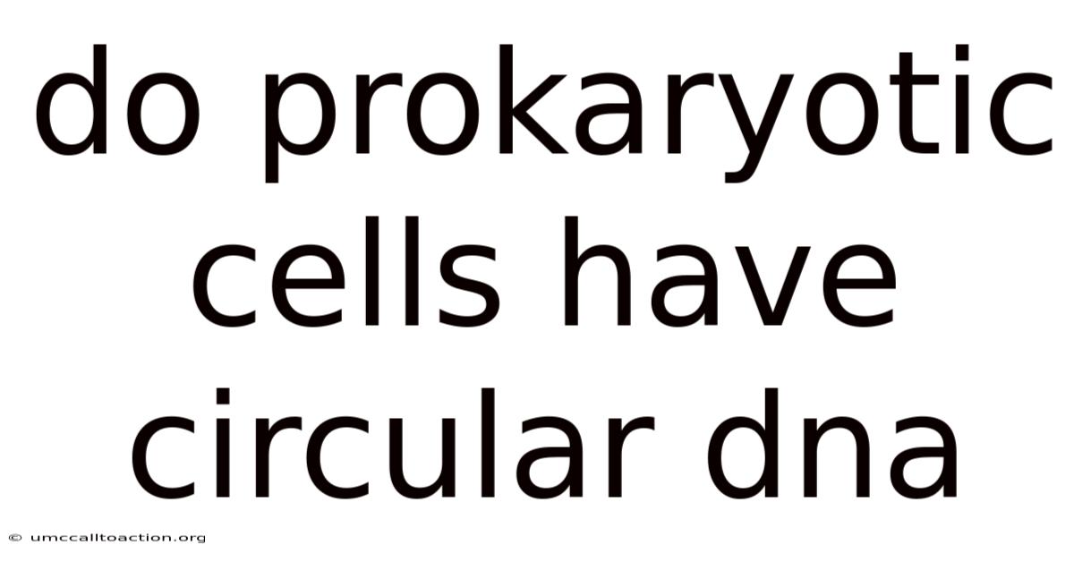 Do Prokaryotic Cells Have Circular Dna