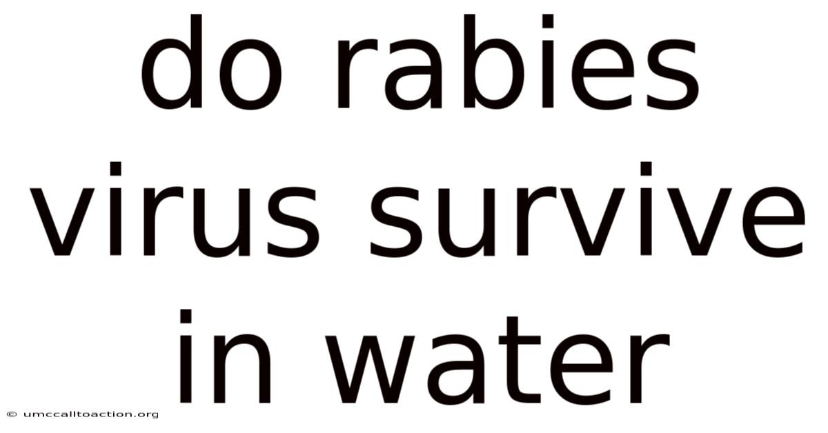 Do Rabies Virus Survive In Water