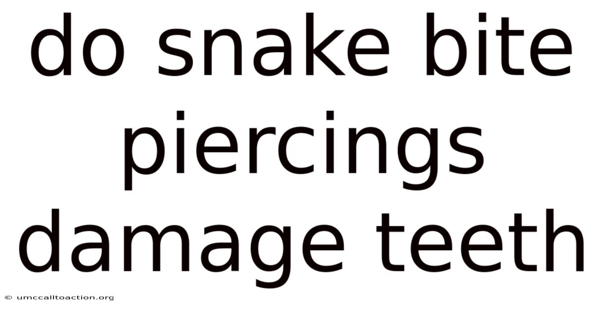 Do Snake Bite Piercings Damage Teeth