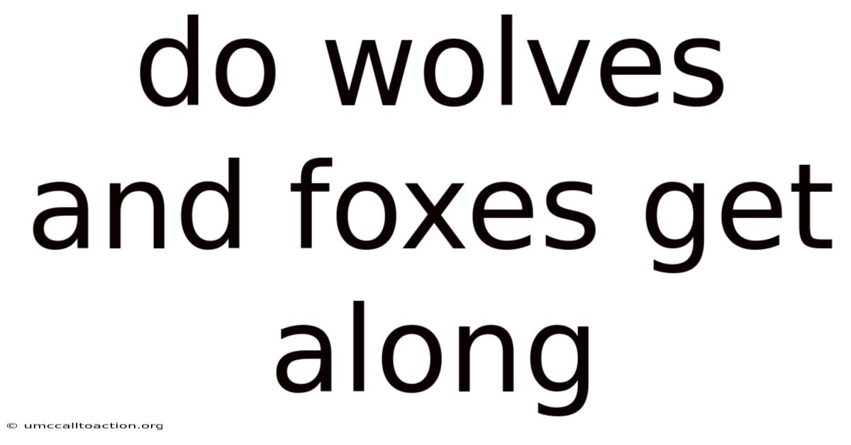 Do Wolves And Foxes Get Along