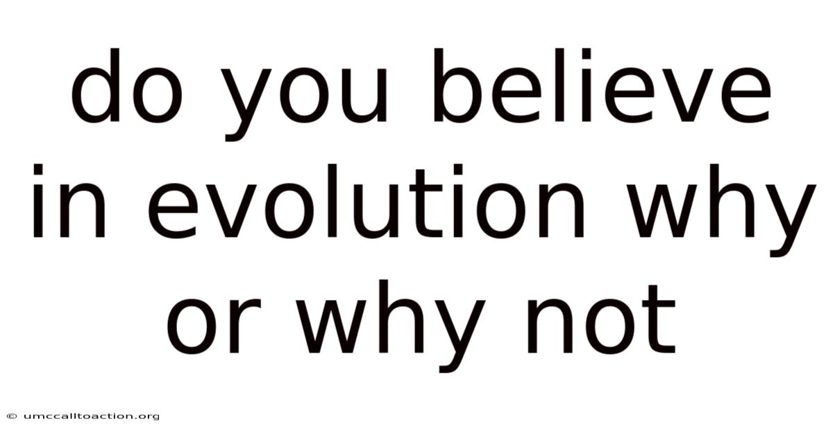Do You Believe In Evolution Why Or Why Not