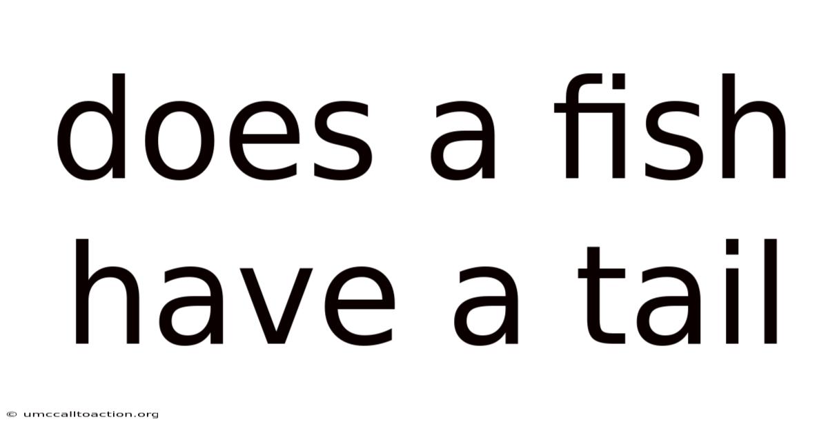 Does A Fish Have A Tail