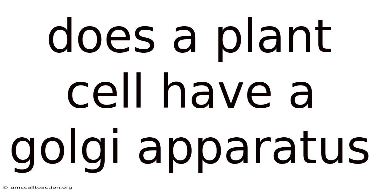 Does A Plant Cell Have A Golgi Apparatus