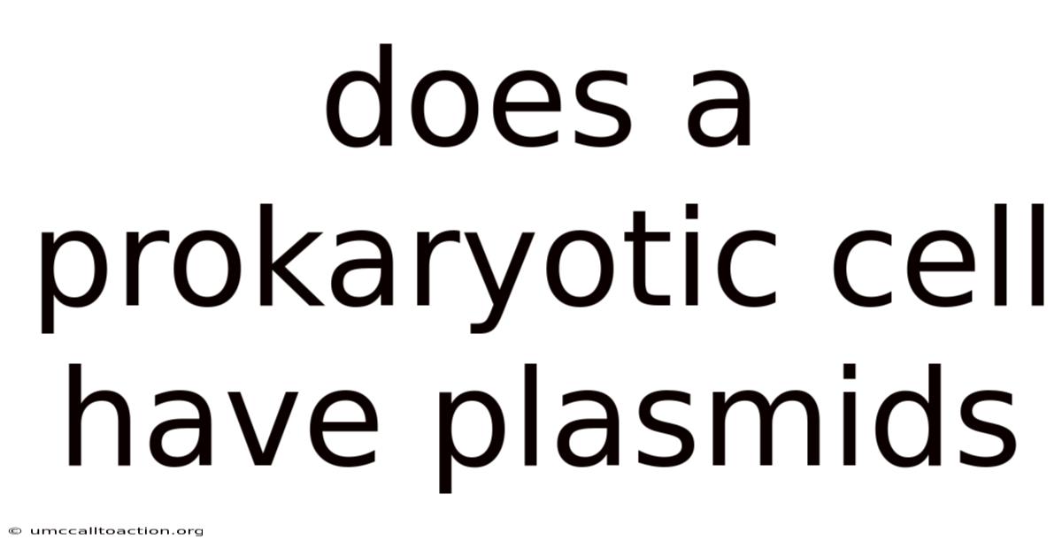 Does A Prokaryotic Cell Have Plasmids