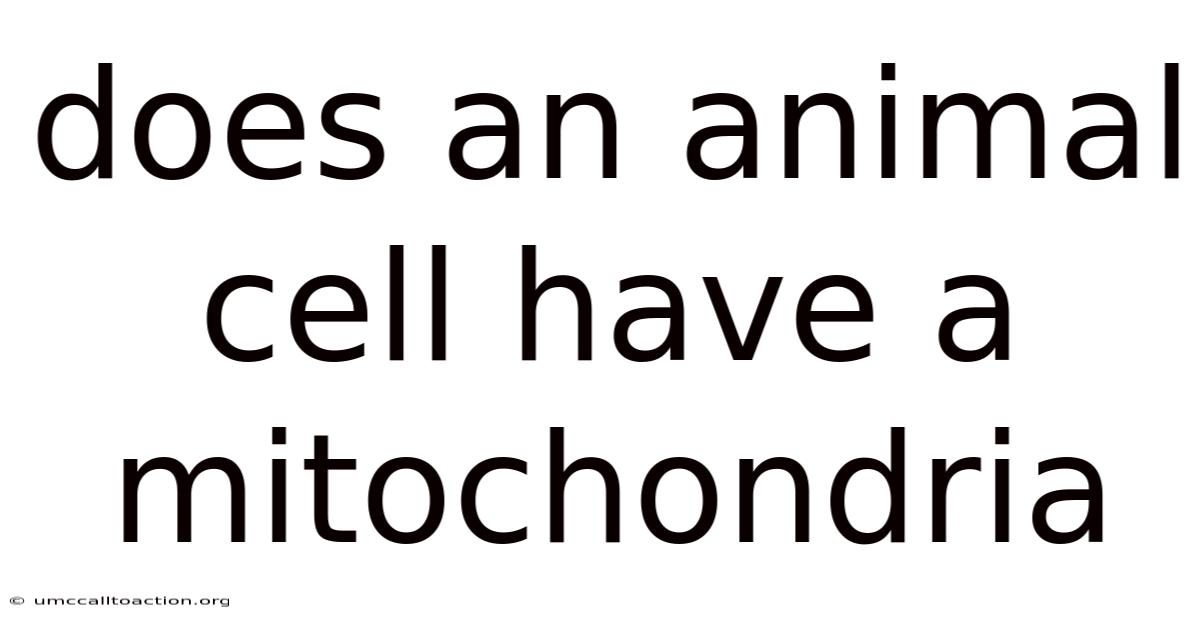 Does An Animal Cell Have A Mitochondria