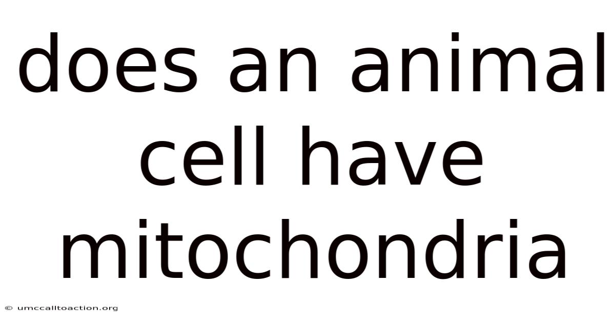 Does An Animal Cell Have Mitochondria