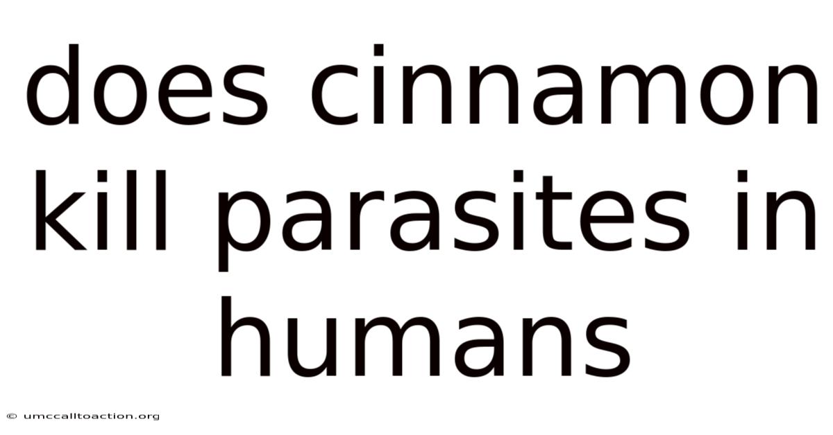 Does Cinnamon Kill Parasites In Humans