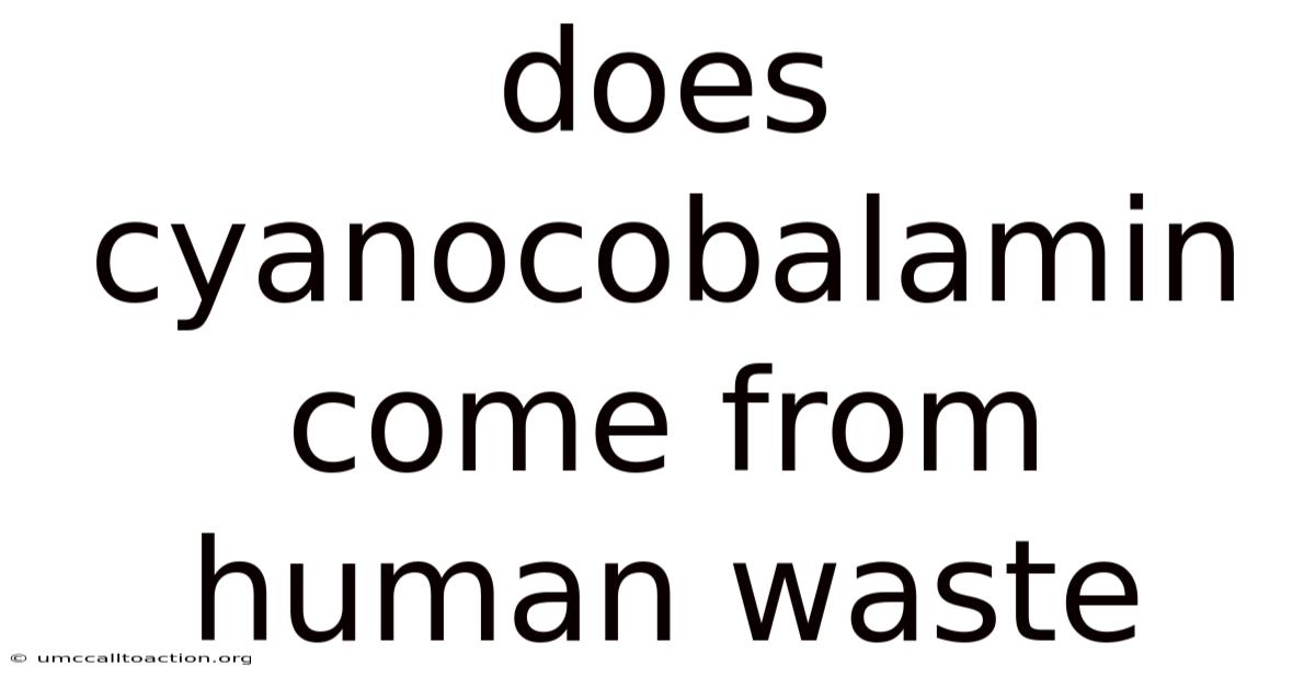 Does Cyanocobalamin Come From Human Waste