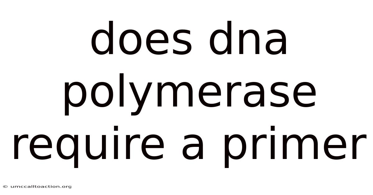 Does Dna Polymerase Require A Primer