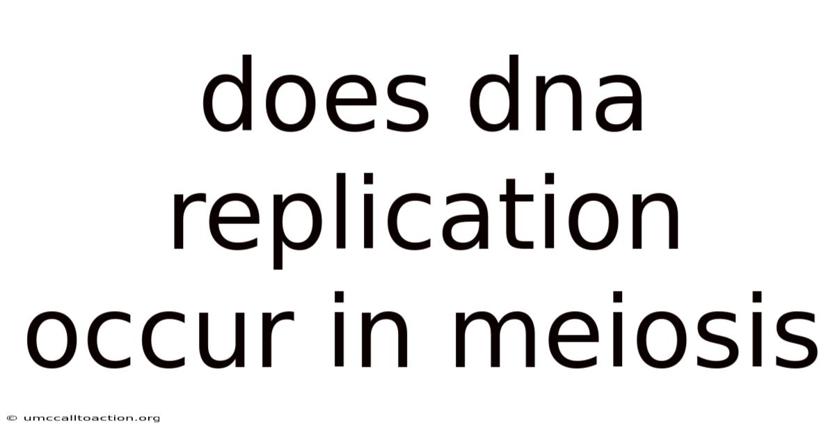 Does Dna Replication Occur In Meiosis