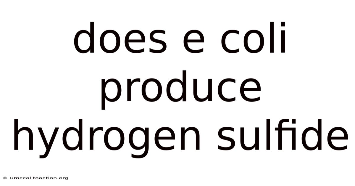 Does E Coli Produce Hydrogen Sulfide