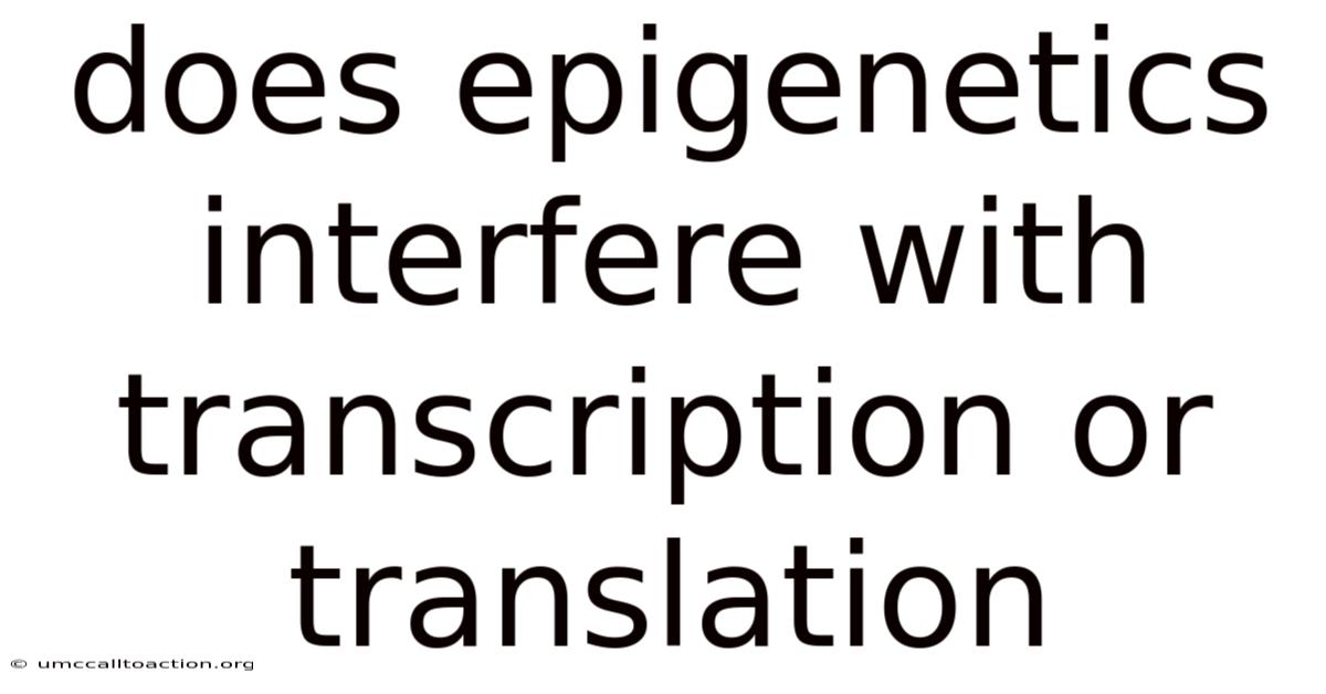 Does Epigenetics Interfere With Transcription Or Translation