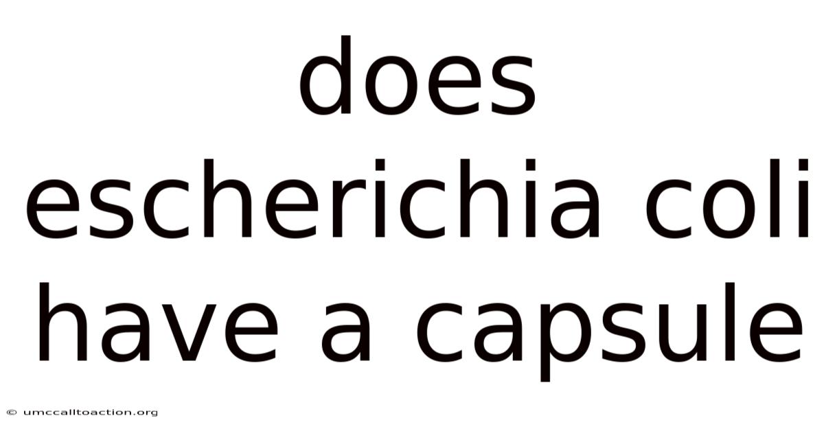 Does Escherichia Coli Have A Capsule