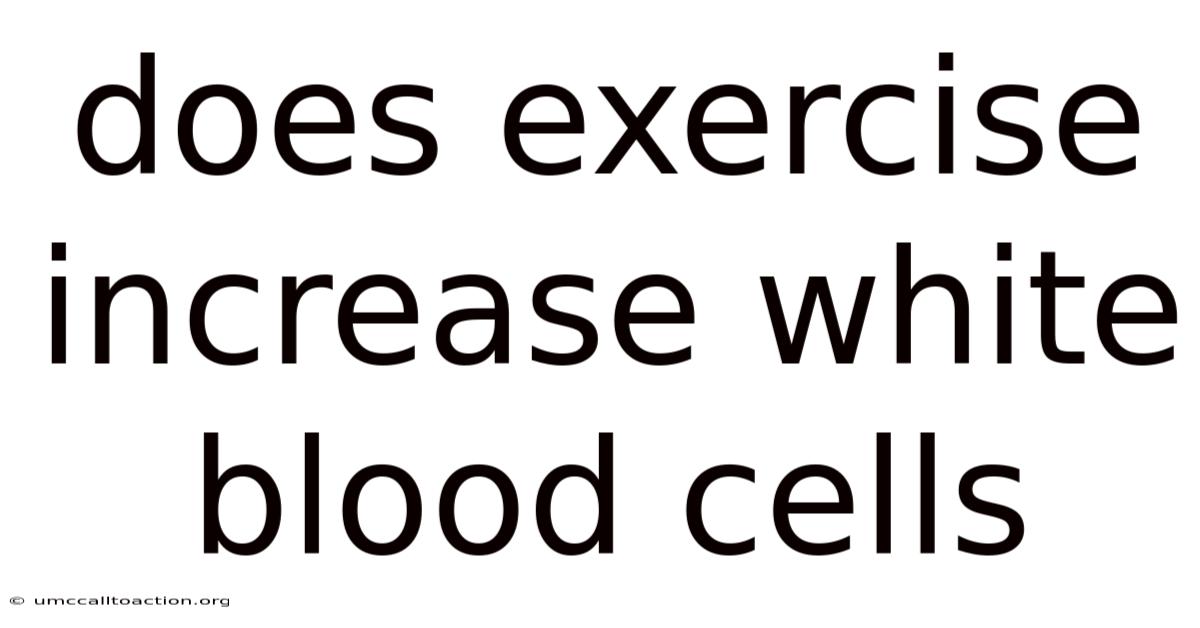 Does Exercise Increase White Blood Cells