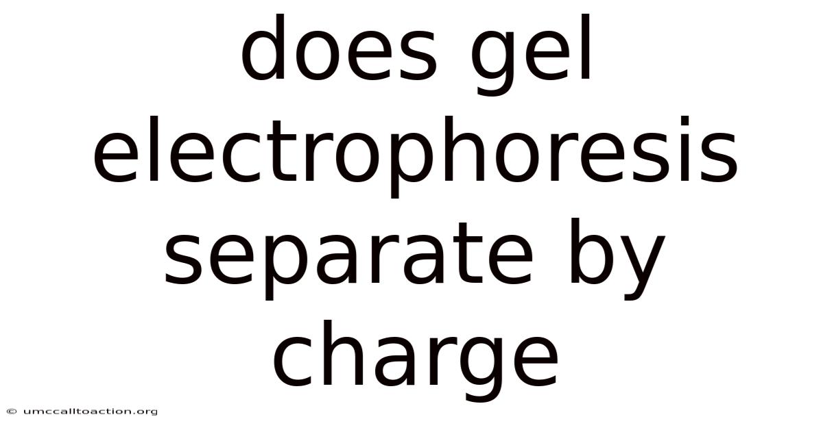 Does Gel Electrophoresis Separate By Charge