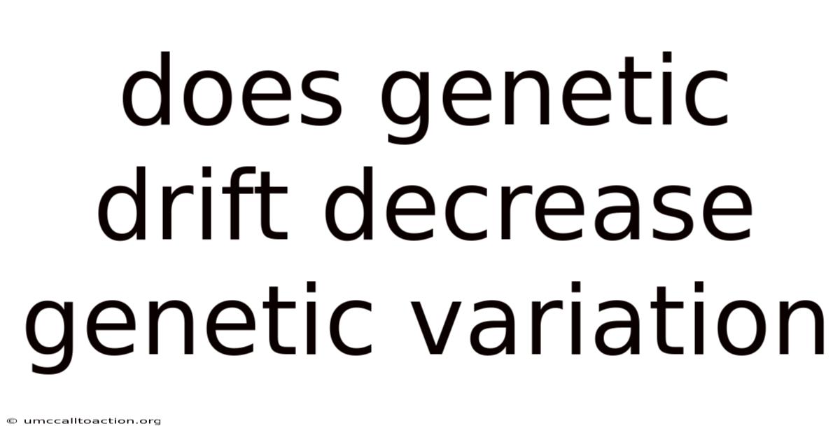 Does Genetic Drift Decrease Genetic Variation