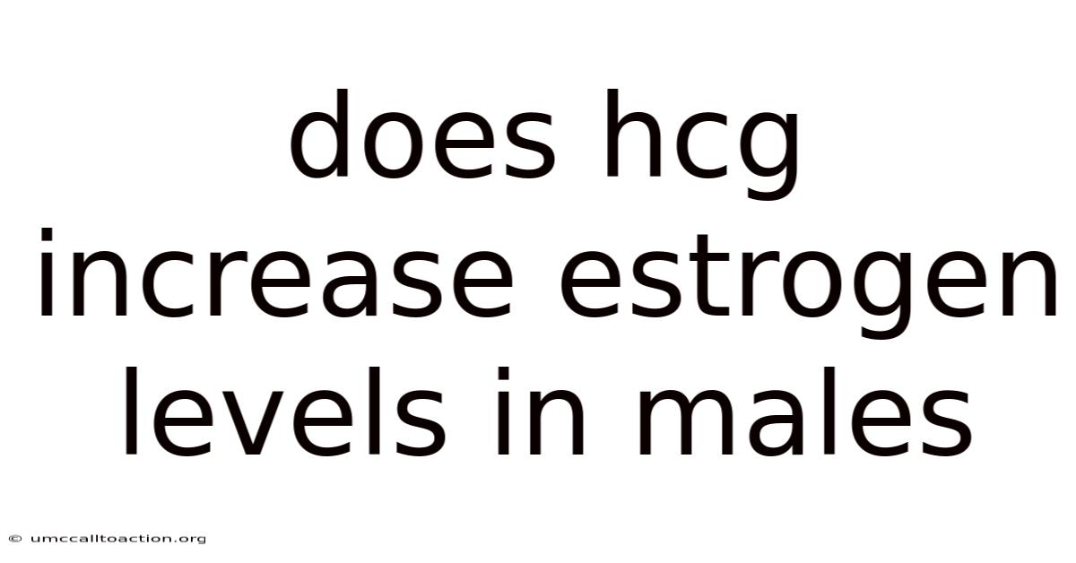 Does Hcg Increase Estrogen Levels In Males