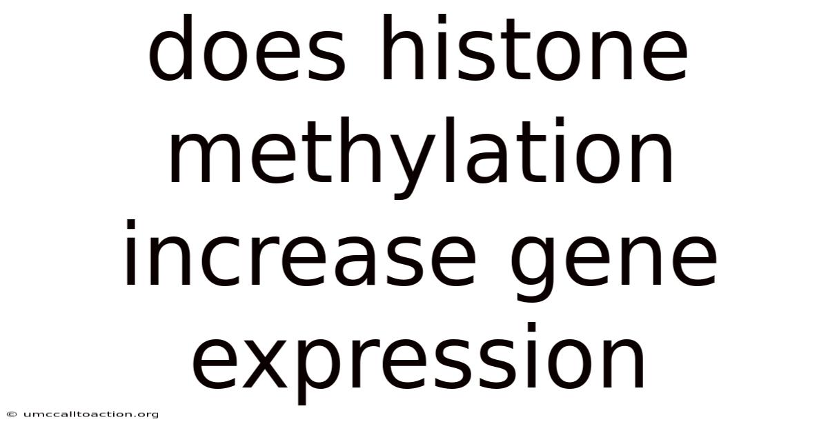Does Histone Methylation Increase Gene Expression