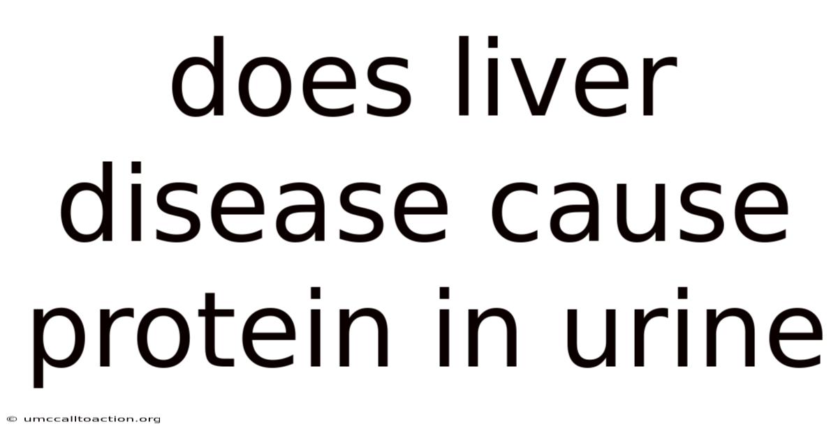 Does Liver Disease Cause Protein In Urine