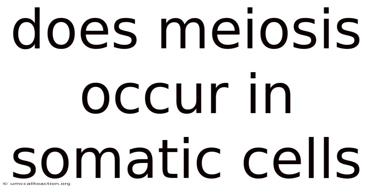 Does Meiosis Occur In Somatic Cells